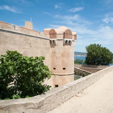 The pale stone rampart and corner tower of the hilltop citadel above the pines