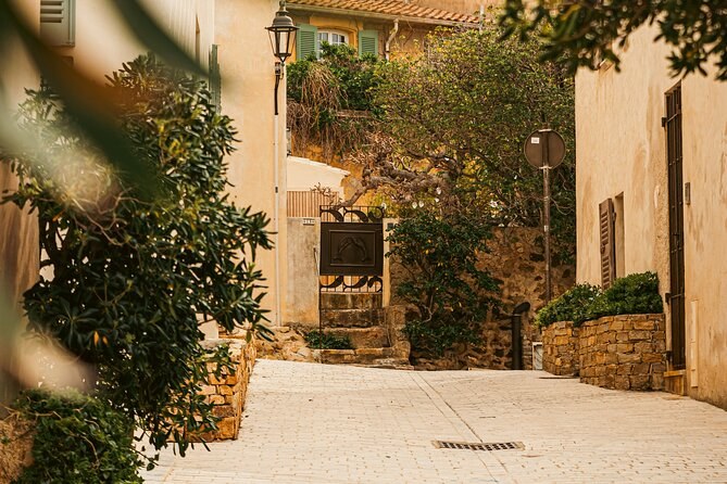 A sunlit stone lane between old houses and olive trees in a hill village
