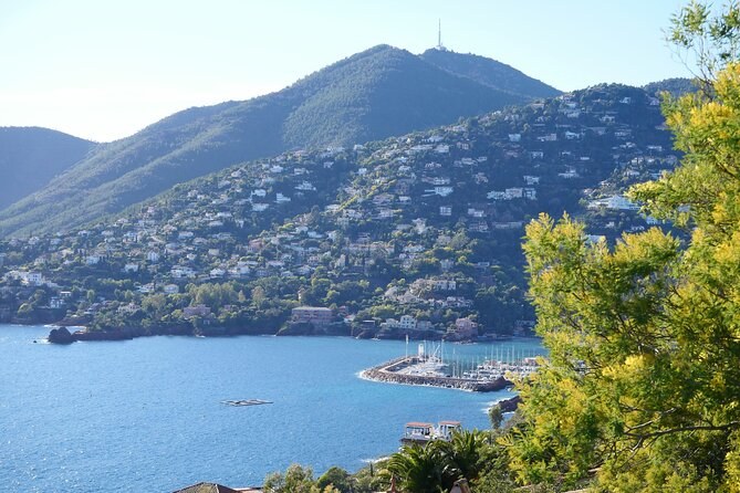 Wooded hills and scattered villas above a blue bay and a small harbour